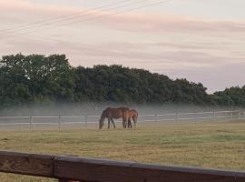 The Paddocks - Spacious annexe with rural outlook., hotel with parking in Wareham