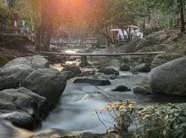The River Maekampong Chiang Mai เดอะริเวอร์ แม่กำปอง