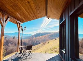 Casuta din Valea Iepii, hotel din Holbav