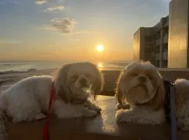 Cuddle & Doodlz’s Pet Friendly Place at The Radiance Manila Bay