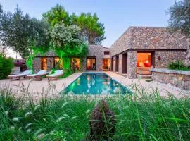Can GANESHA Villa