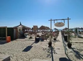 Studio SunShine Promenada Mamaia Nord