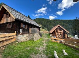 Glanzerhütte, casa per le vacanze a Vordernöring