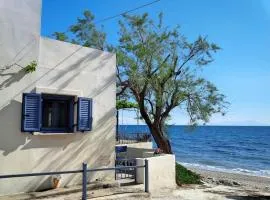 Floras Charming Waterfront Villa