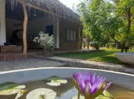 Gange Wadi Wilpattu