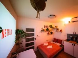 Malý byt s balkonem & free parking