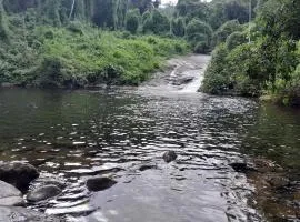 Aconchego Graúna