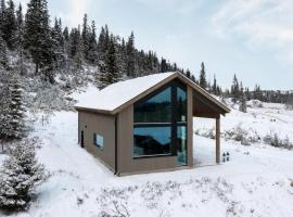 Cozy Home In B I Telemark With Sauna, hotell sihtkohas Lifjell