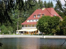 Hotel Waldsee, romantiškasis viešbutis Lindenberge prie Algau