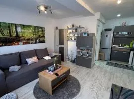 Apartament Acasa Sf.Gheorghe