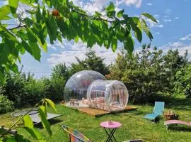 La bulle des champs