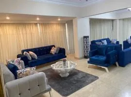 Nile view apartment