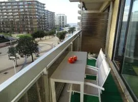 Cosy, zuidgerichte studio in De Panne met WiFi