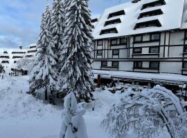 Apartments Konaci Kopaonik, pet-friendly hotel in Kopaonik