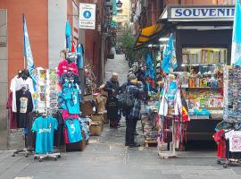 A Due Passi Da Toledo