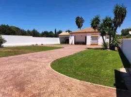 Orchard View