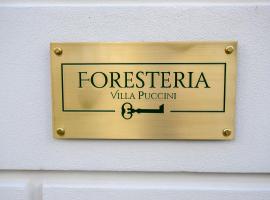 Foresteria Villa Puccini Casa per Ferie, отель в Торре-дель-Лаго-Пуччини