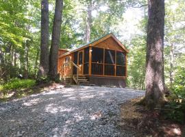Two Rivers Cabins - The Mountaintop, semesterhus i Brevard