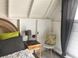 Joli studio entier avec jardin au calme