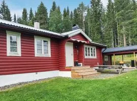 Nice Home In Trångsviken With Wifi