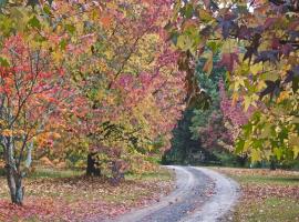 Rustic Spirit, σαλέ σε Bilpin