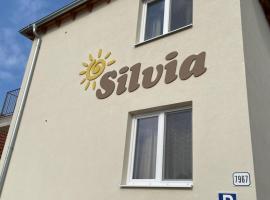 Apartmány Silvia, hotel cu parcare din Dunajská Streda