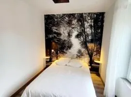 Suite du jardin 4