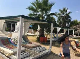 Villa Amatheia