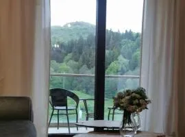 River view deluxe apartment