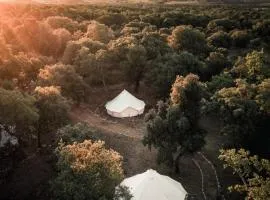 Lodg'ing Nature Camp Luberon、Saint-Michel-lʼObservatoireのグランピング施設
