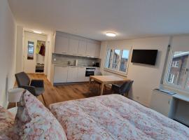 Studio direkt an der Langlaufloipe, renta vacacional en Oberwald