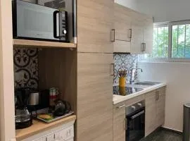 Nice Proche mer Climatisé 2 pièces style loft