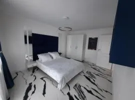 Flamingo Apartment1 Craiova self check-in