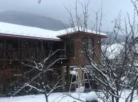 Приватна садиба ~Smoky mountain~