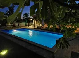 Apartment with pool Adria