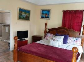 Alluring 1 Bedroom Penthouse Suite/ Priv. Terrace, hotel in Kingston