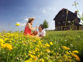 Rooms Bolfan Vinski Vrh, farm stay in Hrašćina