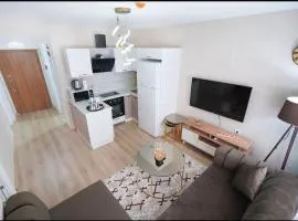 Two Bedroom King Deluxe Suite IS9
