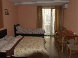 Studio Manushev