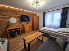 Solanki Loft Kładka, leilighet i Inowrocław