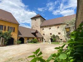 Burg St. Veit, Wohnen mit Charme, hotel with parking in Sankt Veit an der Glan