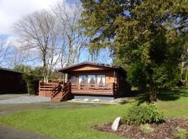 Birch Lodge 22 with Hot Tub, hotel in Newton Stewart