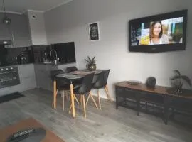 Apartament przy Aquaparku w Redzie