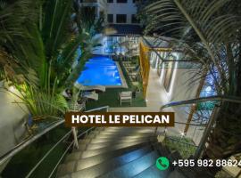 Hotel Le Pelican, hotel in Asunción