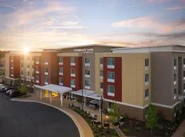 TownePlace Suites by Marriott Memphis Olive Branch