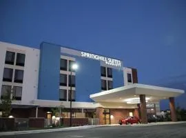Springhill Suites Baltimore White Marsh/Middle River