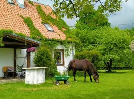 Apartamenty na wsi Horses&Relax, cheap hotel in Młynary