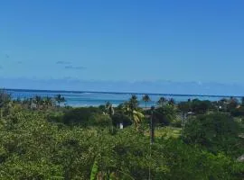 La Belle du Sud