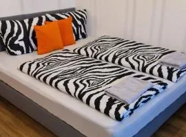 Innenstadt-Appartement