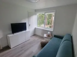 Eco apartment in Jurmala